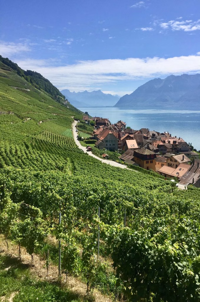 Vignes en terrasses au-dessus du village d’Epesses et du lac